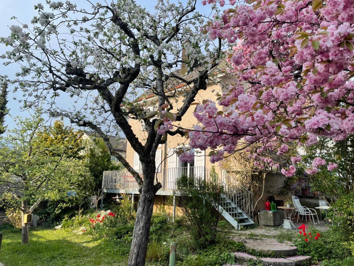 Au Jardin Bed & Breakfast Zuchwil Eksteriør bilde